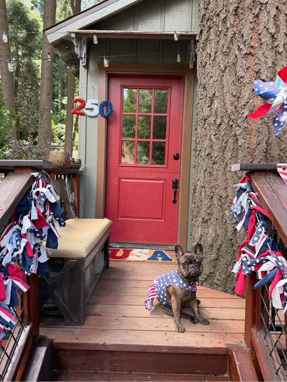 American Flag Pet Dress